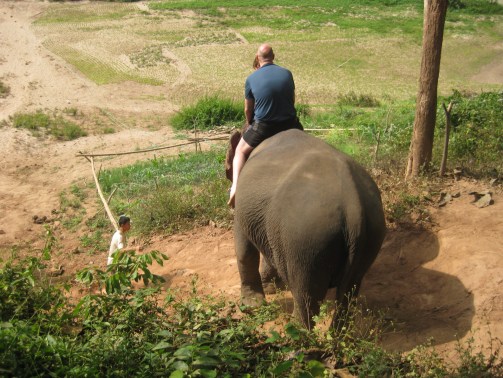 Elephant walking down steep hill